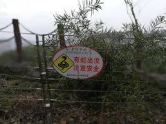 -金鸡山公园