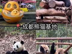 -鑫记婆婆兔·成都特产·兔头手撕兔(太古里店)