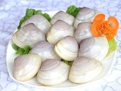 贵妃蚌-桃源尚品海鲜酒楼(京港澳高速店)