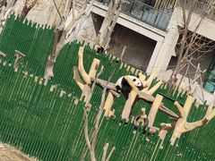 -沈阳森林动物园