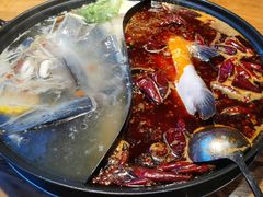 -红牌美蛙鱼头火锅(万辉国际广场店)
