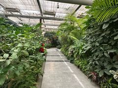 -春满园生态餐厅(南宫路店)