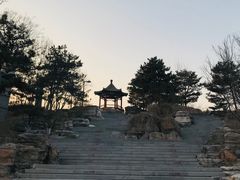 -大兴滨河森林公园