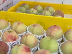 -老袁家蜜桃农场·阳山水蜜桃