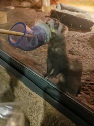 -酷嗒动物文化乐园(cutezoo西溪乐天城店)