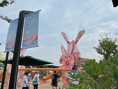 -季高兔窝窝亲子园(上海薰衣草公园店)