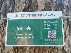 -灵谷景区