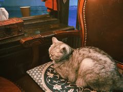 -不舍昼夜咖啡馆