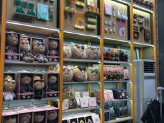 -line friends(明洞旗舰店)