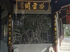 -上海佘山国家森林公园天马山园