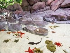 -福州罗源湾海洋世界旅游区