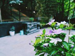 -箱美术馆私房菜(水晶郦城店)