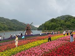 -广州市石门国家森林公园