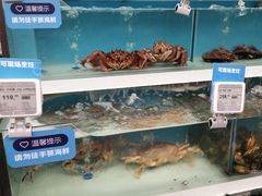 -盒马X会员店(王府井奥莱UP TOWN店)