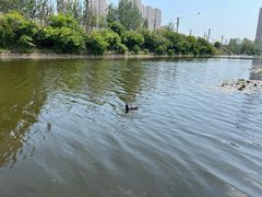 -前关湿地公园
