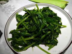 清炒豌豆尖-雲蜀龙阁·金牌水煮鱼(方庄店)