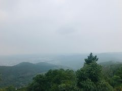 -雨花胜境