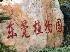 -东莞植物园