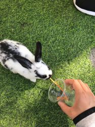 -萌宠亲子动物乐园(槐房万达店)