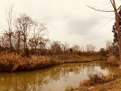 -白鹭湾湿地公园