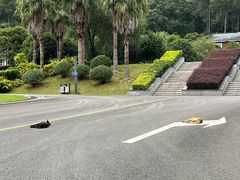 -福清灵石山国家森林公园