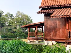 -东莞植物园
