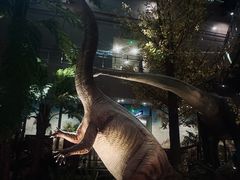 -湖南省地质博物馆