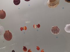 -青岛贝壳博物馆