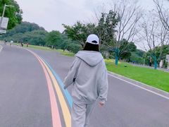 -羊山湖公园
