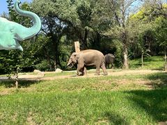 -北京野生动物园