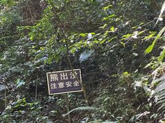 -莫里热带雨林景区