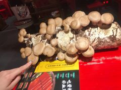 -谭鸭血老火锅(漳州路店)