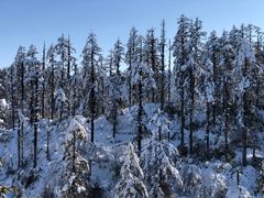 -瓦屋山景区