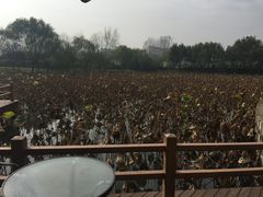 -伊诺咖啡(东川路店)