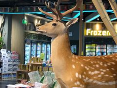 -简致生活MARKET(小榄海港城购物中心店)
