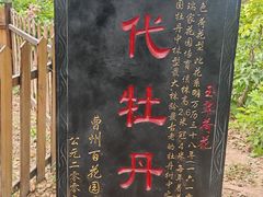 -曹州百花园