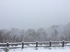 -支芴洞爷国立公园