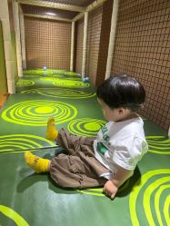 -卡通尼·Safari非洲探索乐园·生日会(金桥国际商业广场店)