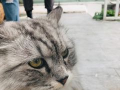 -小时光咖啡馆(北锣鼓巷店)