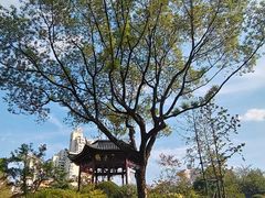 -和平公园