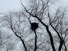 -同里国家湿地公园