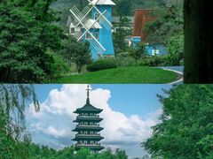 -宜兴龙背山森林公园