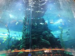 -鸿通城购物中心