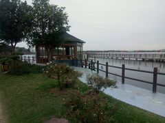 -鹅湖玫瑰文化园