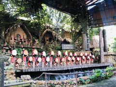 -海南槟榔谷黎苗文化旅游区