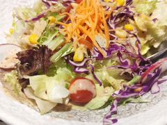 蔬菜沙拉-热血兄弟·炭火烤肉(融侨中心店)