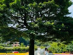 -广州市石门国家森林公园
