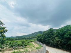-阳台山自然风景区