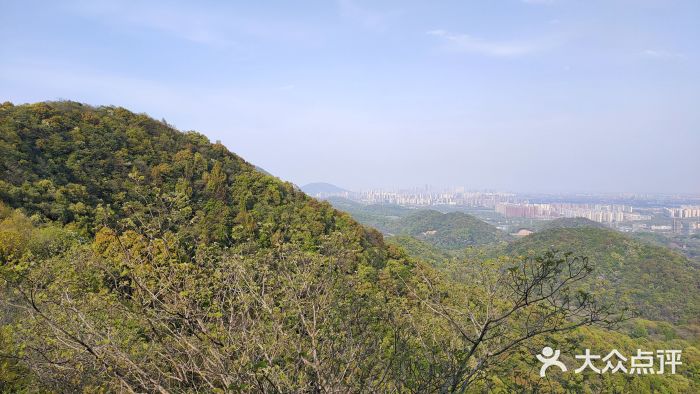 杭州半山国家森林公园图片