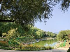 -北京张裕爱斐堡酒庄